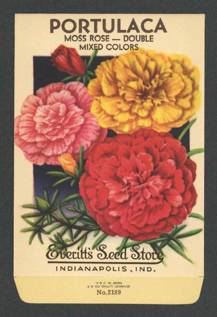 Portulaca Vintage Everitt's Seed Packet, Moss Rose