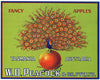 Peacock Brand Vintage Tasmania Australia Apple Crate Label