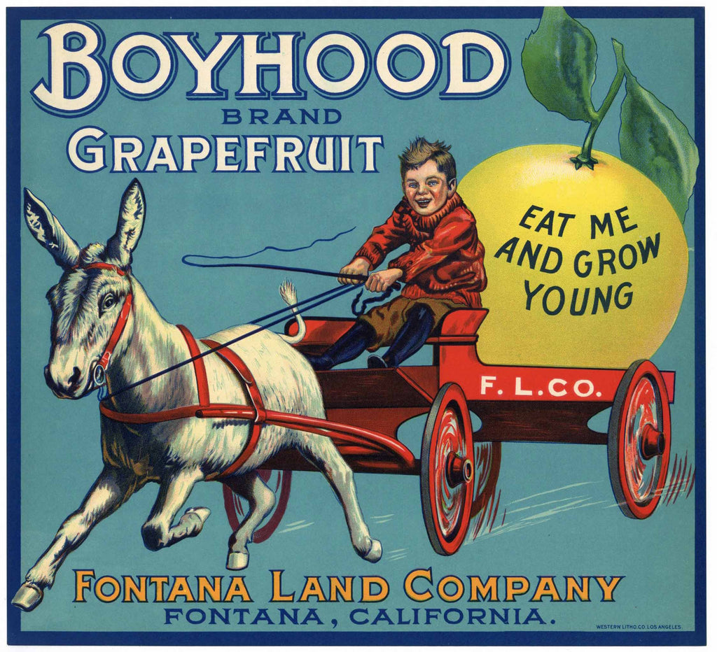 Boyhood Brand Vintage Fontana Grapefruit Crate Label