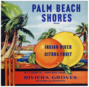 Palm Beach Shores Brand Vintage Riviera Beach Florida Citrus Crate Label