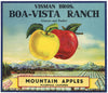 Boa Vista Brand Placerville El Dorado County Apple Crate Label