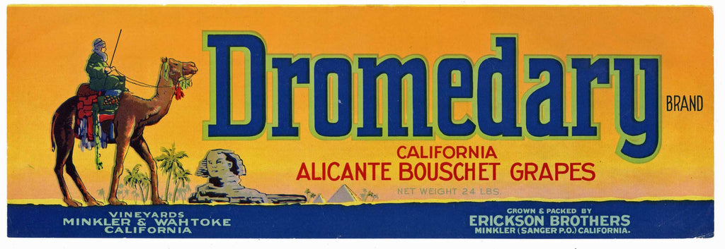 Dromedary Brand Vintage Wine Grape Crate Label