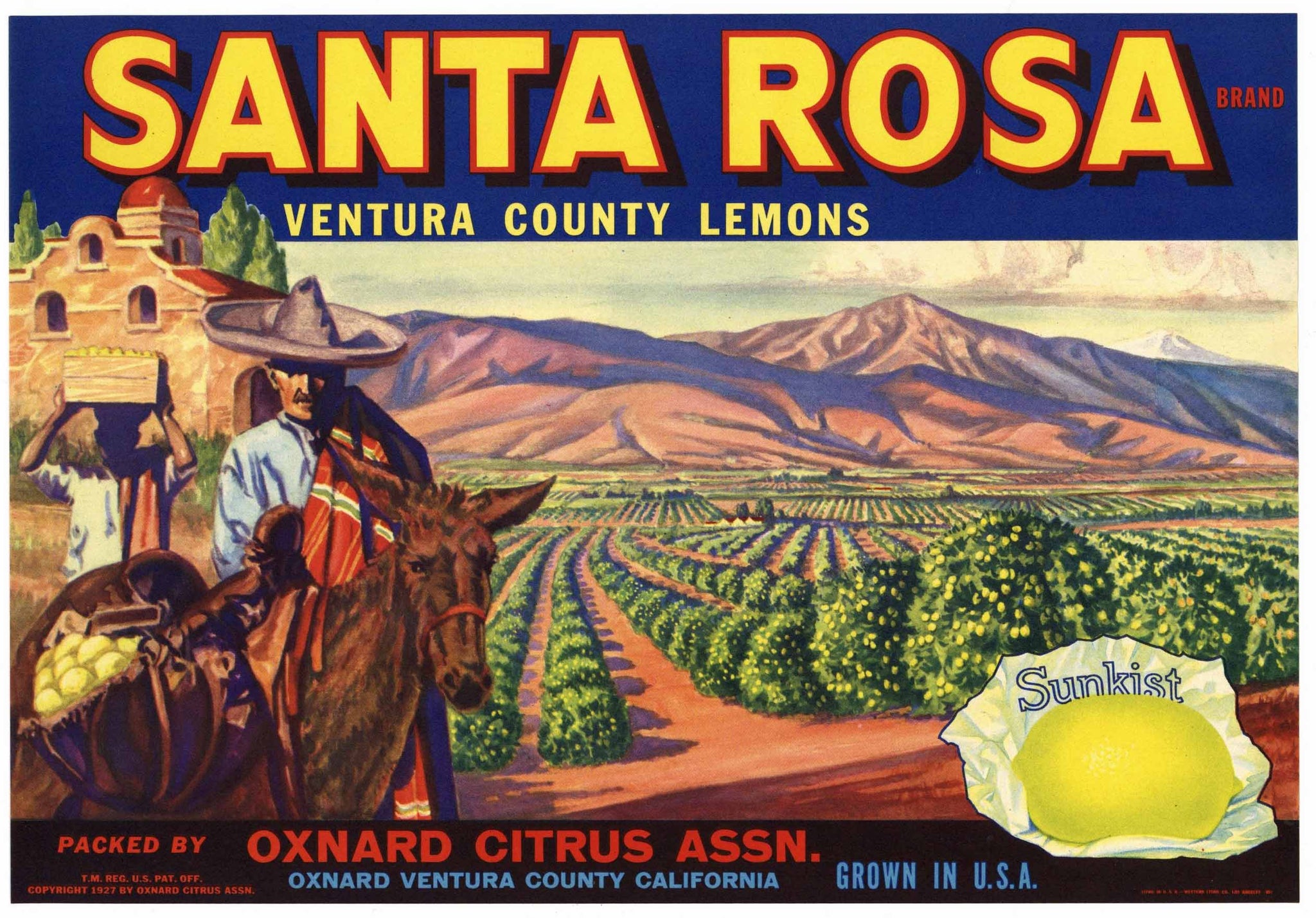 Santa Rosa Brand Vintage Ventura County Lemon Crate Label