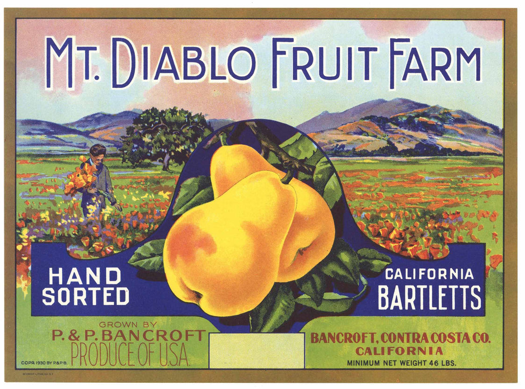 Mt. Diablo Fruit Farm Brand Vintage Contra Costa Pear Fruit Crate Label, box