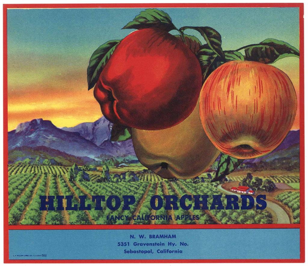 Hilltop Orchards Brand Vintage Sebastopol Sonoma Apple Crate Label