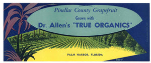 Dr Allen's Brand Vintage Palm Harbor Florida Citrus Crate Label