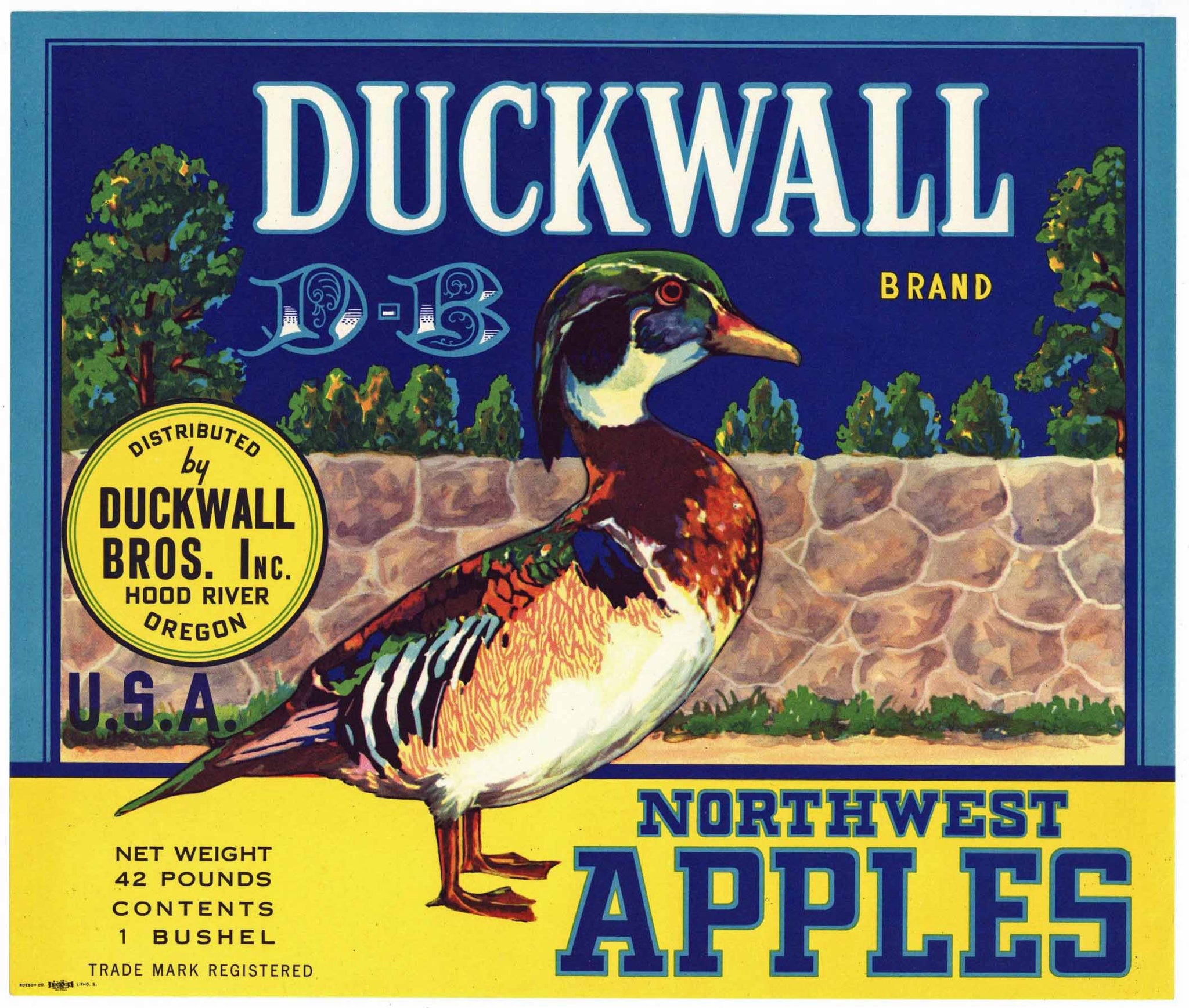 Duckwall Brand Vintage Hood River Oregon Apple Crate Label, blue, rock wall