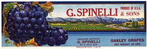 G. Spinelli & Sons Brand Vintage Brentwood Grape Crate Label