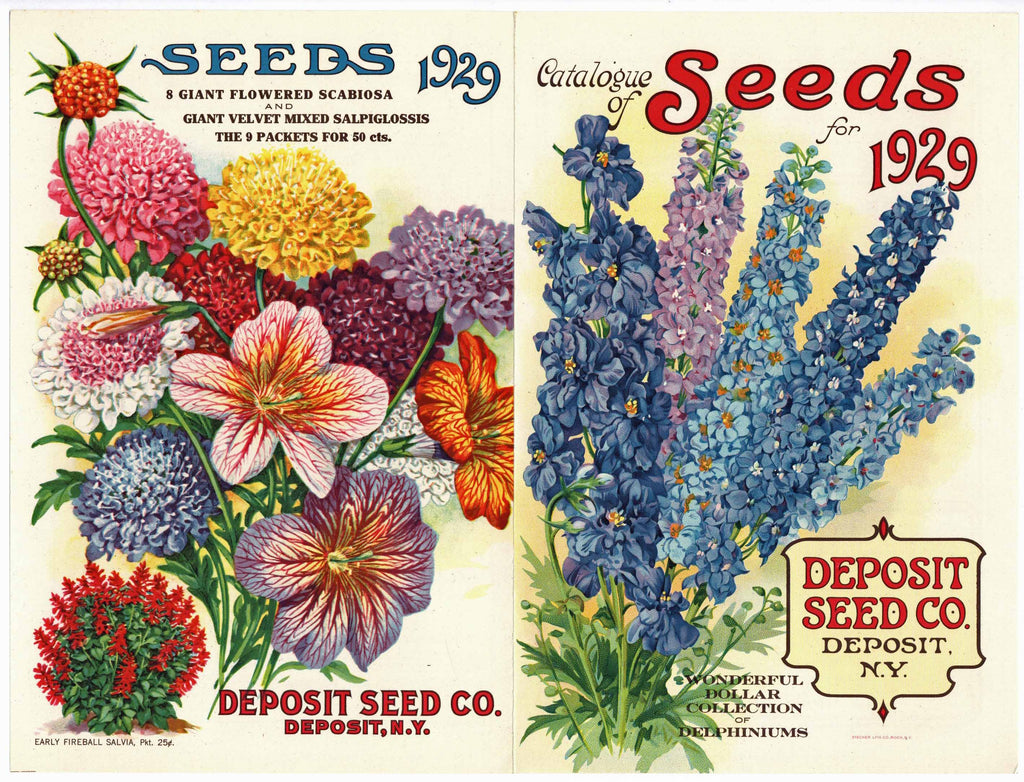 seed and plant catalog A Catalogue of Seeds for 1929, Deposit Seed Co., Antique – thelabelman