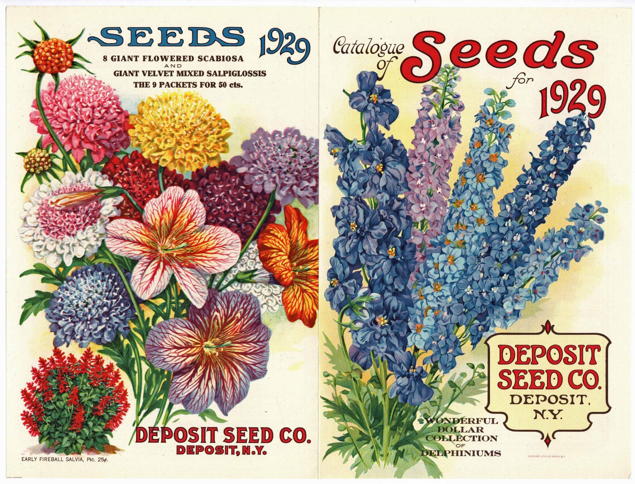 A Catalogue of Seeds for 1929, Deposit Seed Co., Antique