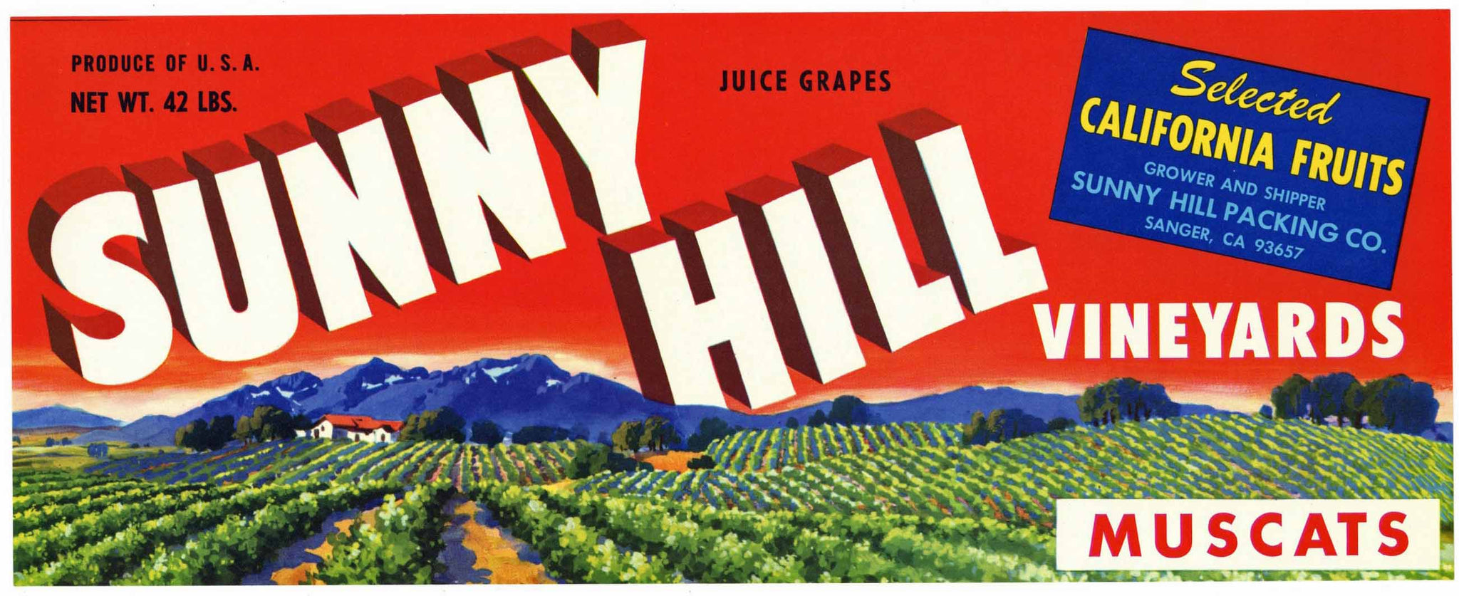 Sunny Hill Brand Sanger California Grape Crate Label