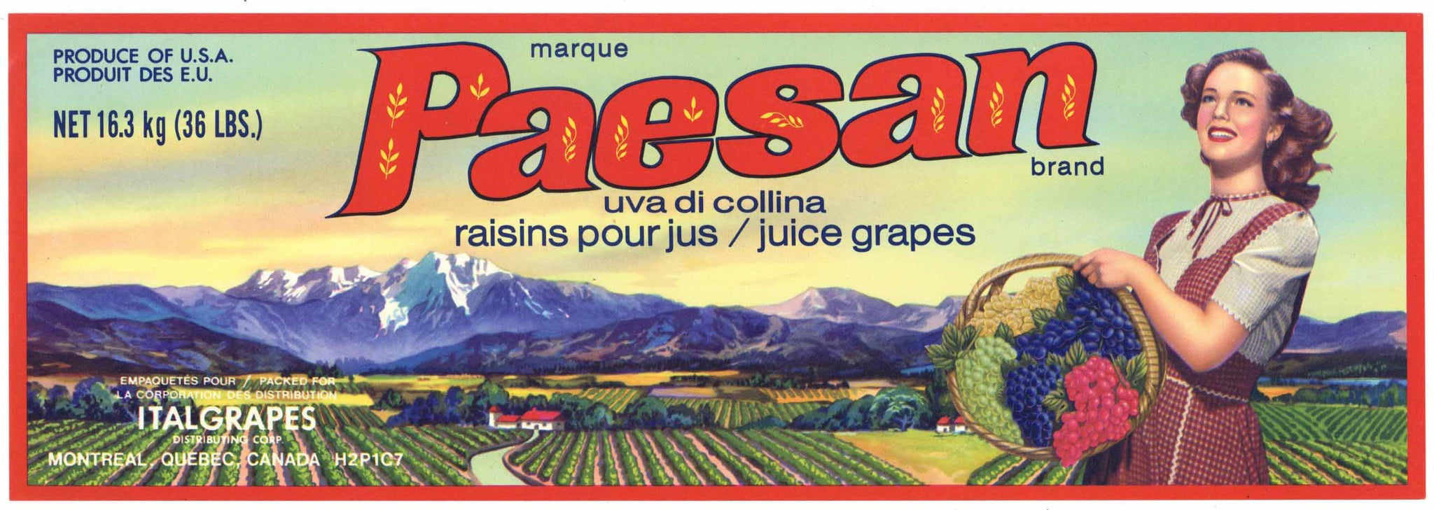 Paesan Brand Vintage Quebec Canada Grape Crate Label