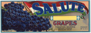 Salute Brand Vintage Escalon California Grape Crate Label