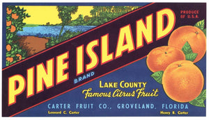 Pine Island Brand Vintage Groveland Florida Citrus Crate Label