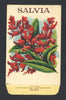 Salvia Antique Stock Seed Packet