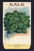 Kale Antique Stock Seed Packet