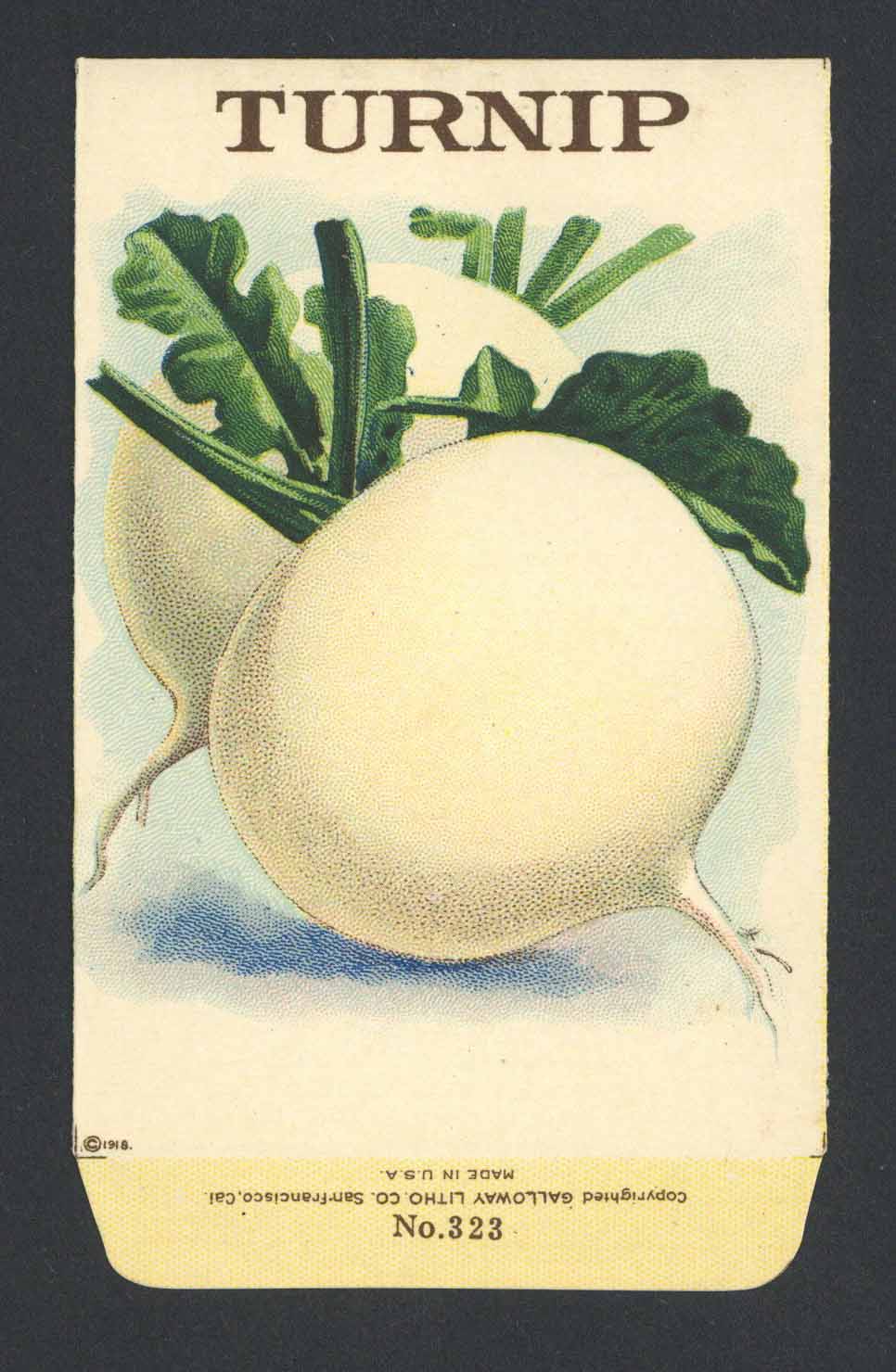 Turnip Antique Stock Seed Packet