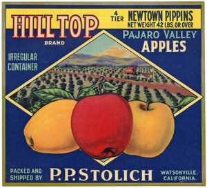 Hill Top Brand Vintage Watsonville California Apple Crate Label
