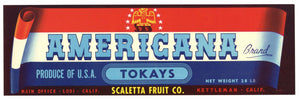 Americana Brand Vintage  Lodi Grape Crate Label