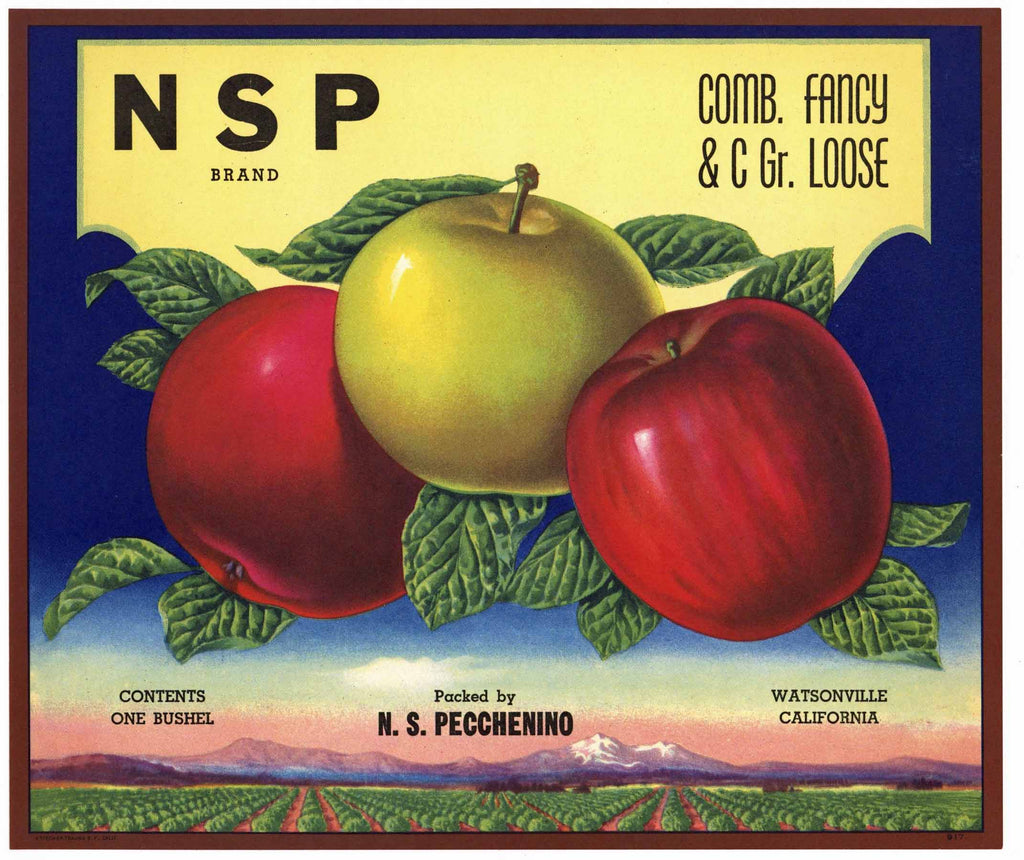 NSP Brand Vintage Watsonville Apple Crate Label