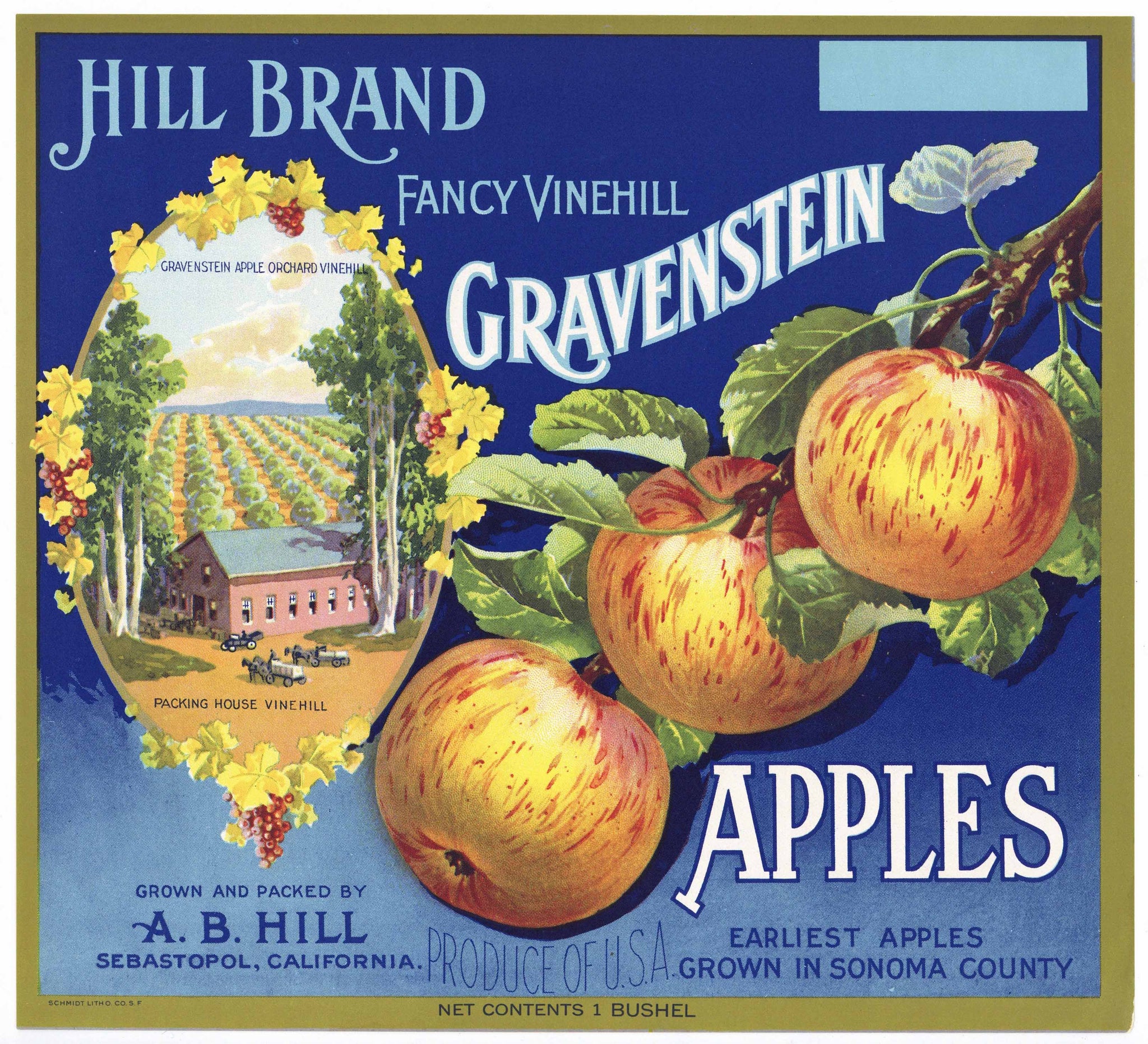 Hill Brand Vintage Sebastopol Apple Crate Label