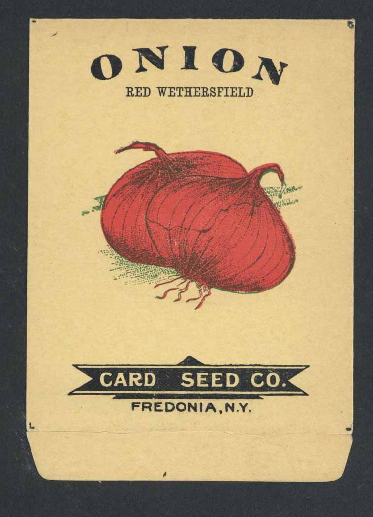 Onion Antique Card Seed Co. Seed Packet