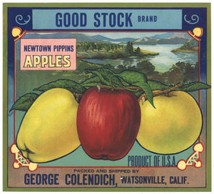 Good Stock Brand Vintage Watsonville Apple Crate Label