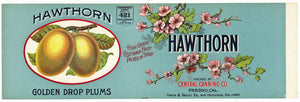 Hawthorn Brand Vintage Plum Can Label