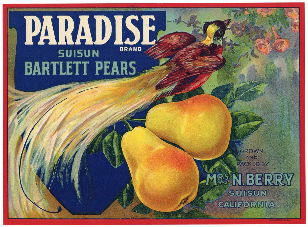 Paradise Brand Vintage Suisun California Pear Crate Label