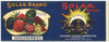 Solar Brand Vintage Gooseberry Can Label, Mixed Vignette