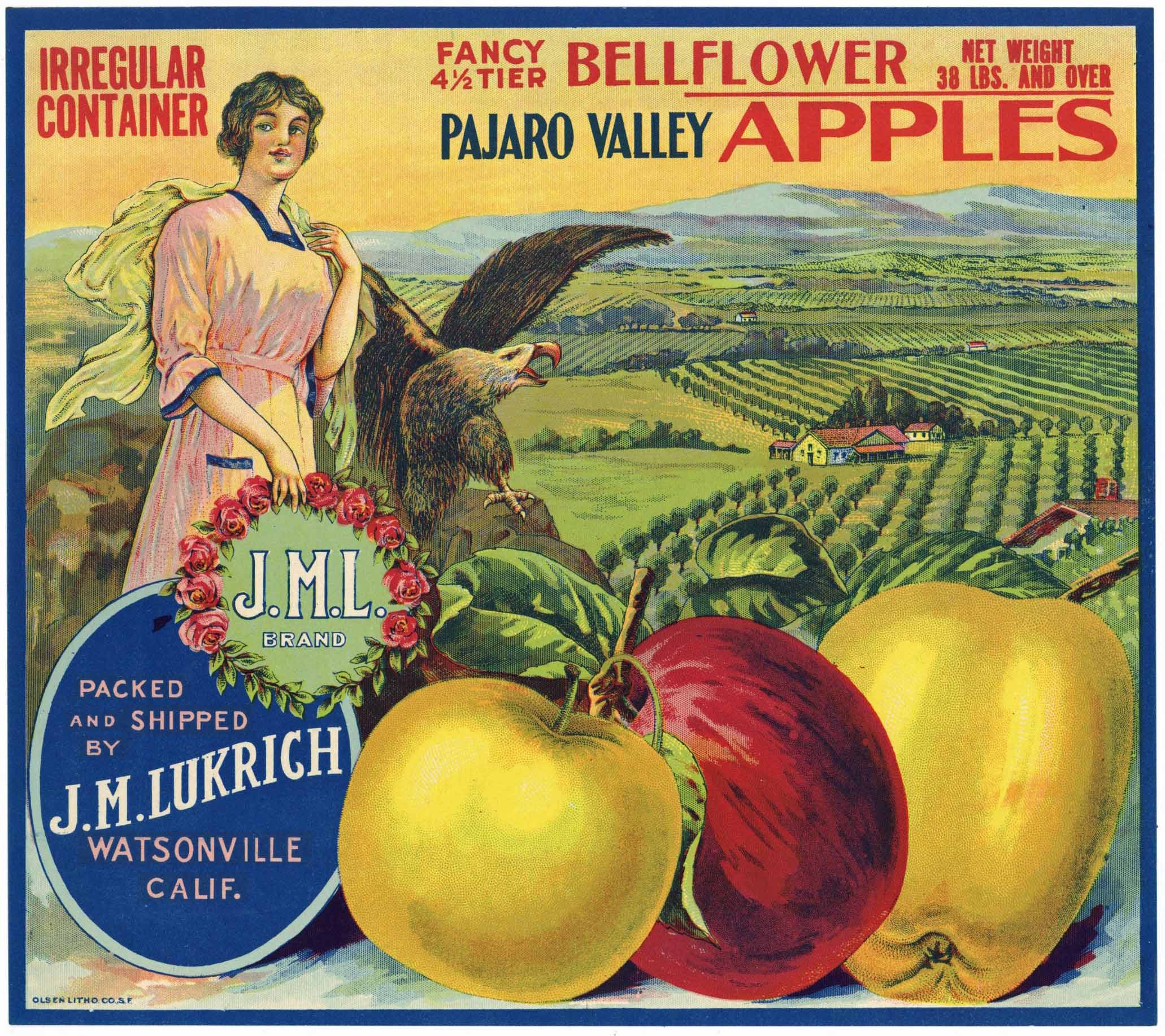 J. M. L. Brand Vintage Watsonville Apple Crate Label – thelabelman