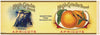 High Grade Brand Vintage Apricot Can Label