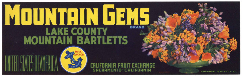 Mountain Gems Brand Vintage Pear Crate Label, lug