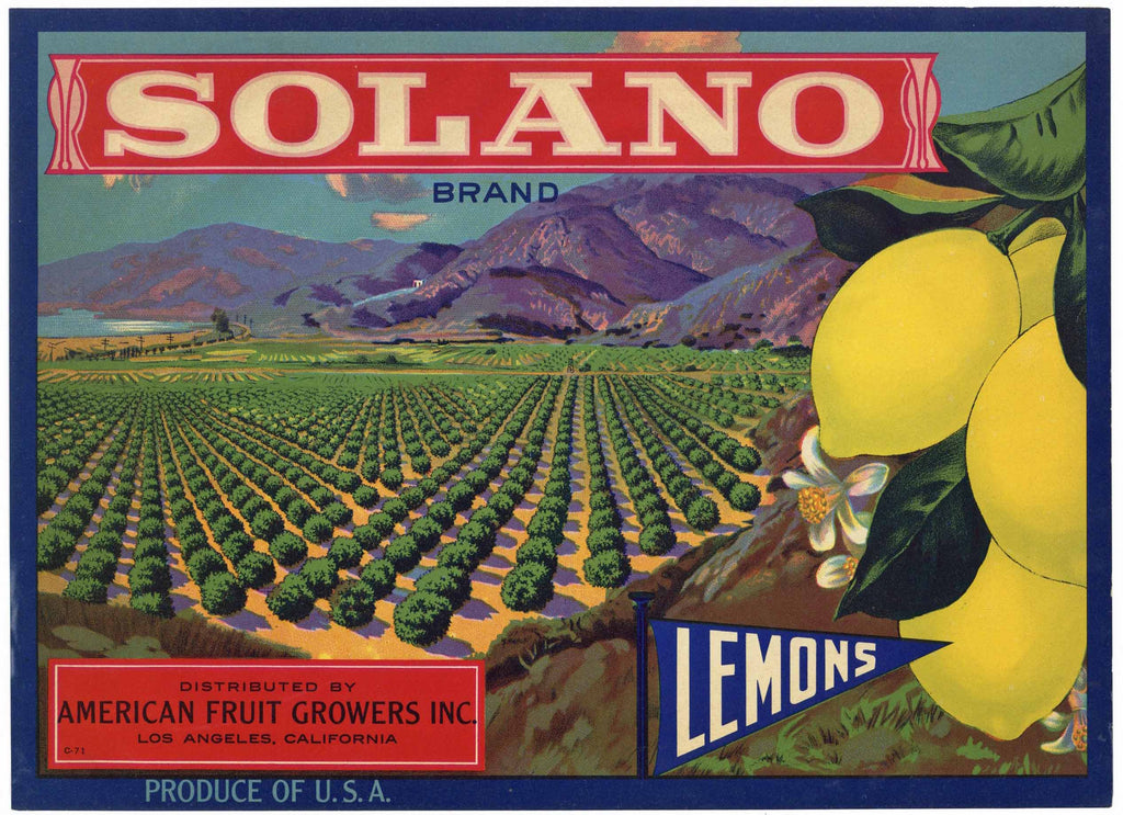 Solano Brand Vintage American Fruit Growers Lemon Crate Label