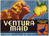 Ventura Maid Brand Vintage Lemon Crate Label