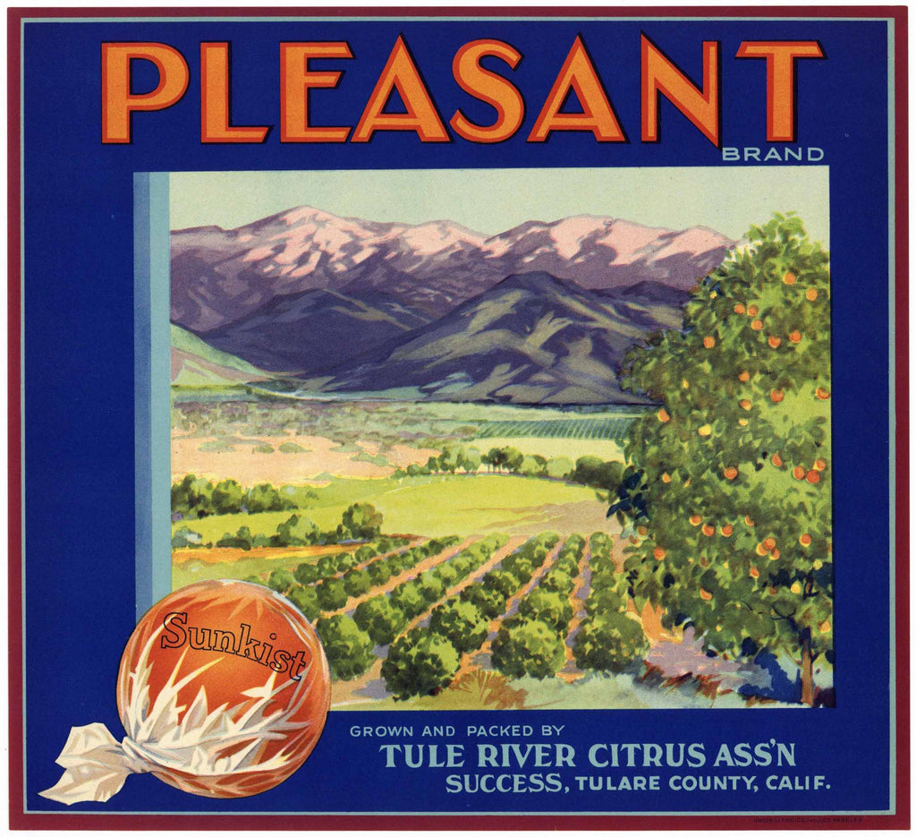 Pleasant Brand Vintage Tulare County Orange Crate Label