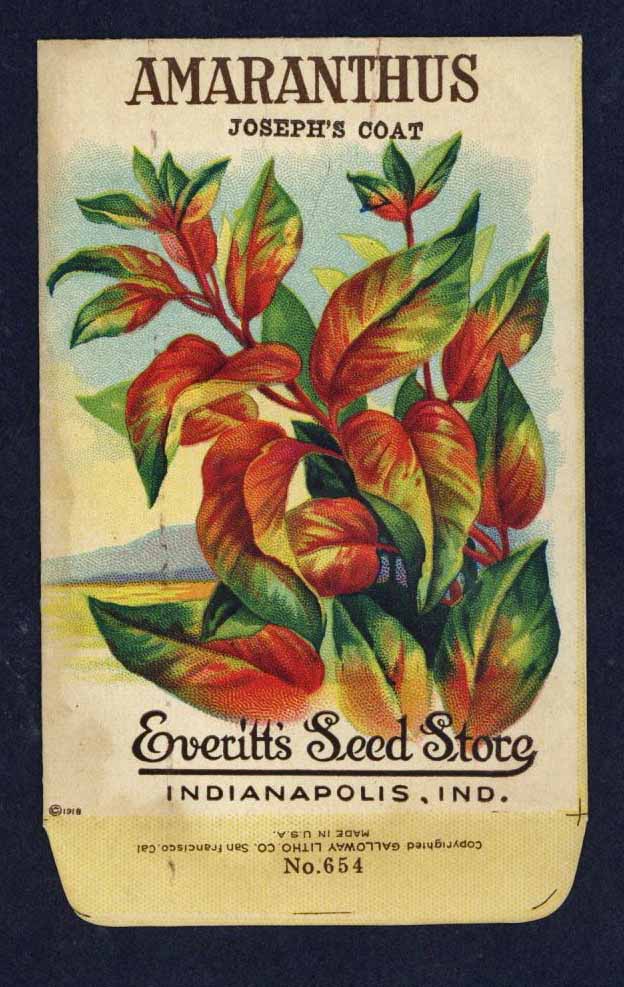 Amaranthus Antique Everitt's Seed Packet