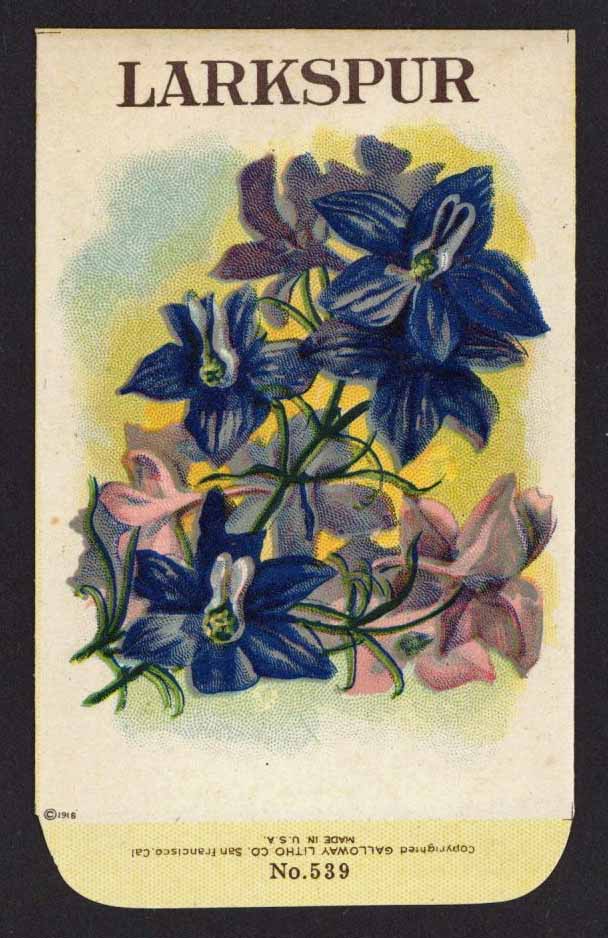 Larkspur Antique Stock Seed Packet