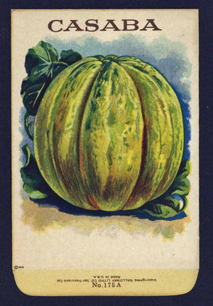 Casaba Antique Stock Seed Packet