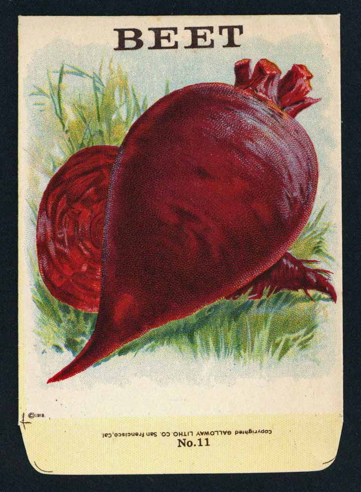 Beet Antique Stock Seed Packet