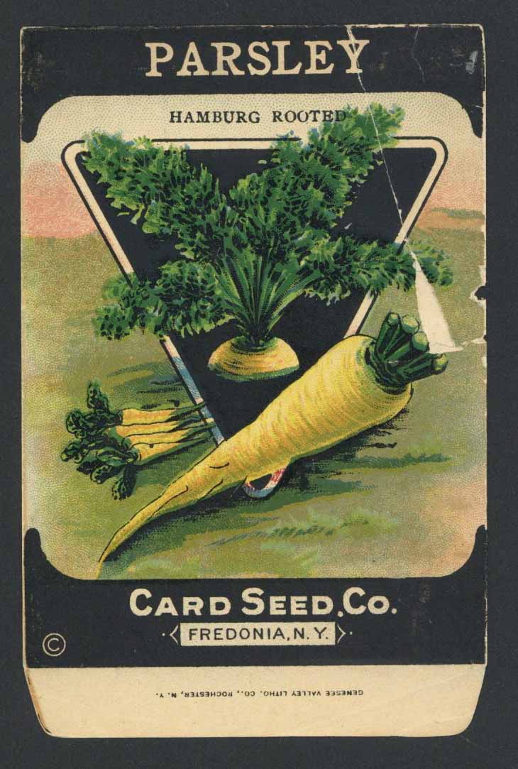 Parsley Antique Card Seed Co. Seed Packet, Hamburg Rooted, damage