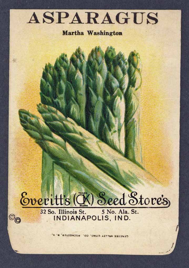 Asparagus Antique Everitt's Seed Packet, Martha Washington