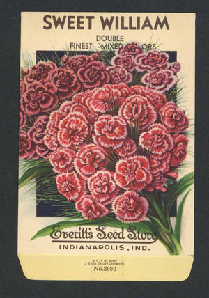 Sweet William Vintage Everitt's Seed Packet, Double