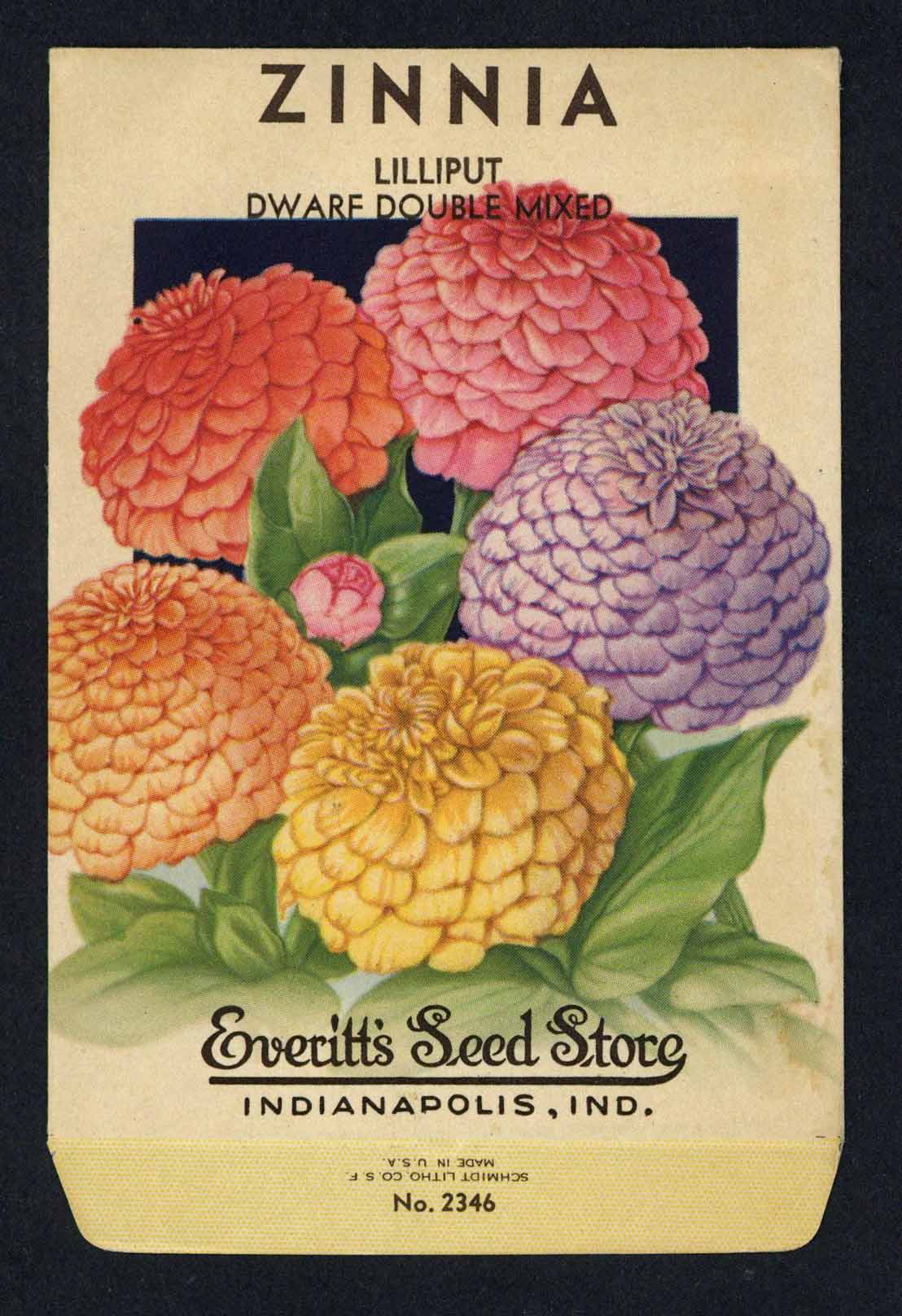 Zinnia Vintage Everitt's Seed Packet, Lilliput