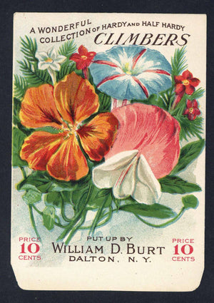 Climbers Antique Burt's Seed Packet