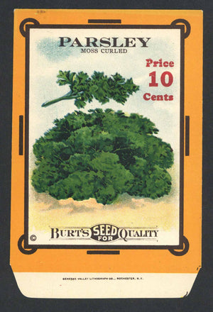 Parsley Antique Burt's Seed Packet