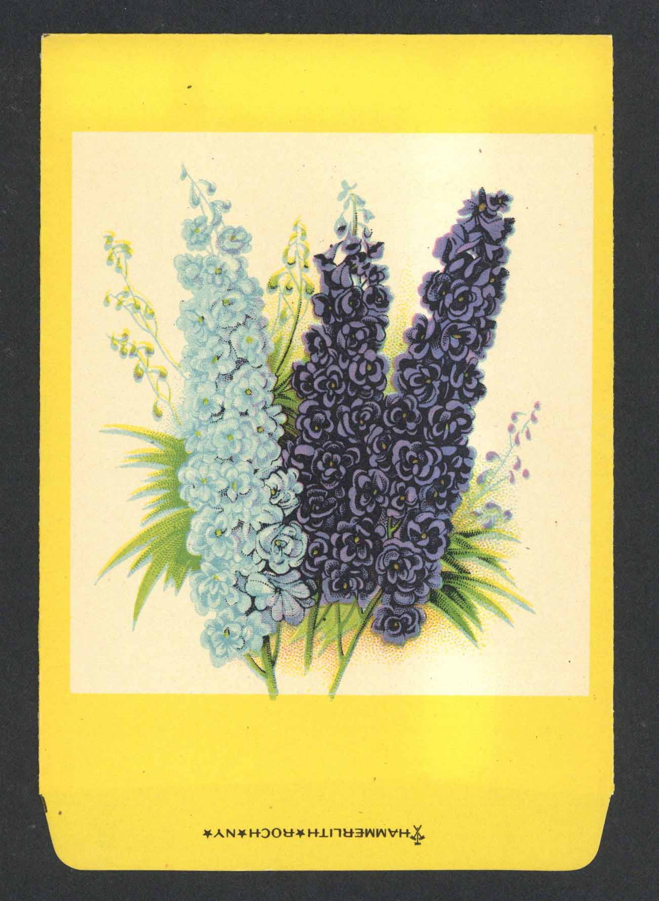 Larkspur Antique Stock Seed Packet, Hammerlith