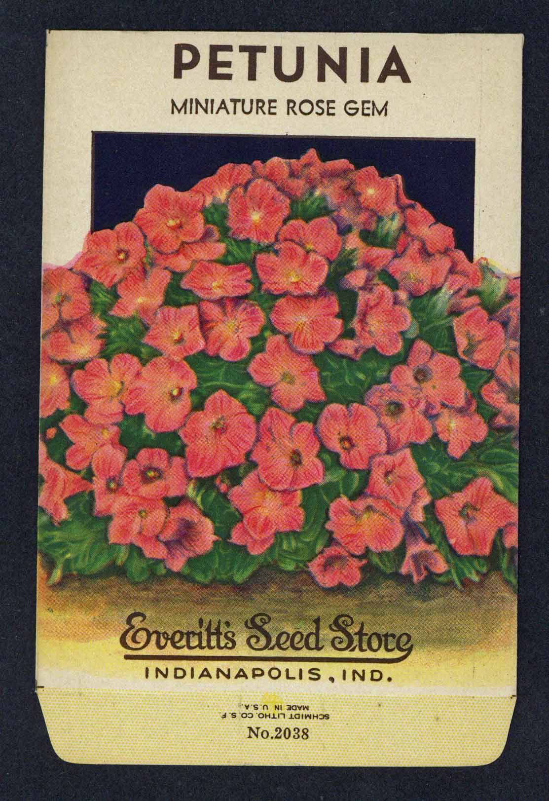 Petunia Vintage Everitt's Seed Packet, Rose Gem