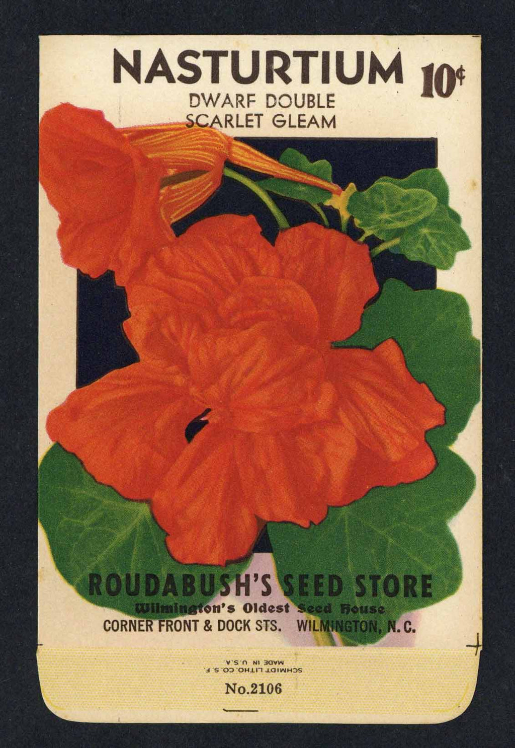 Nasturtium Vintage Roudabush's Seed Packet, Scarlet Gleam