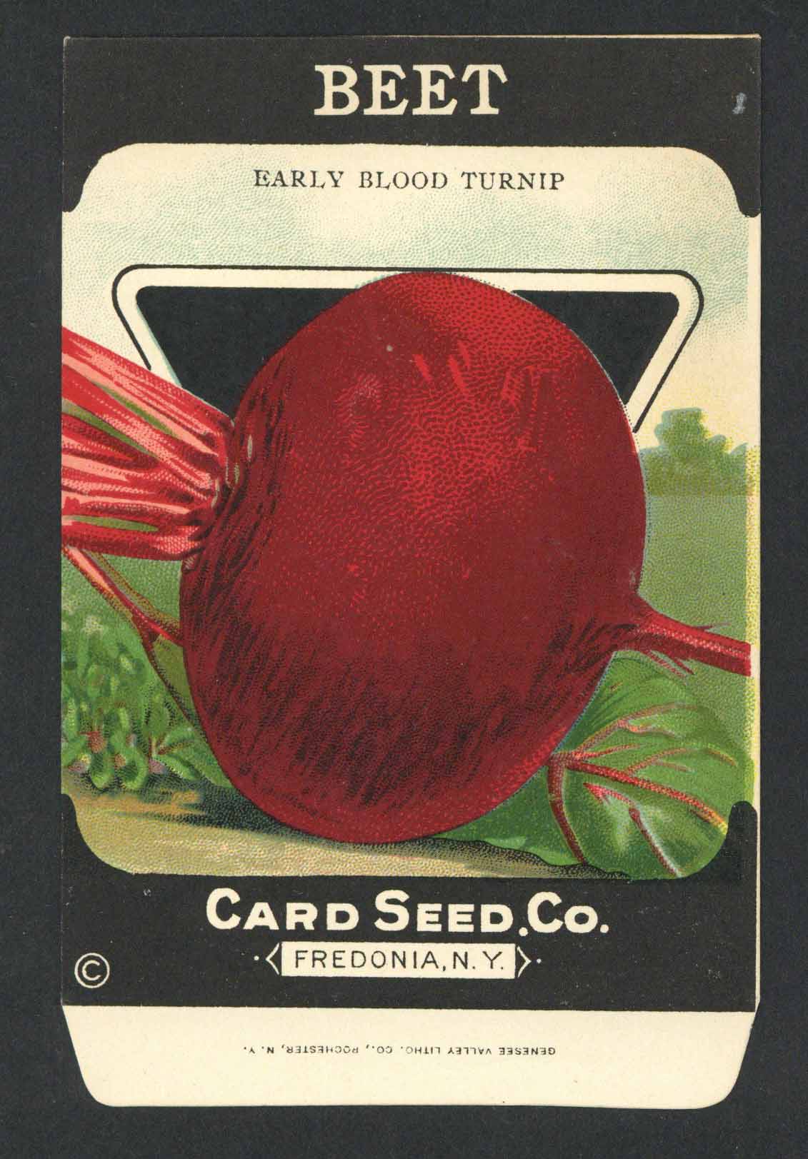 Beet Antique Card Seed Co. Seed Packet, Early Blood Turnip